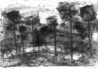 1984 - Paisagem com Árvores - carvão s/ papel - 15 x 21cm